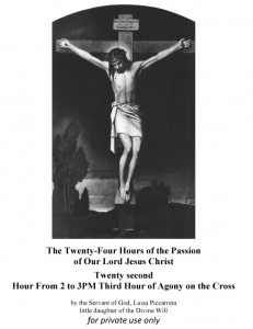 Twenty second Hour From 2 to 3PM Third Hour of Agony on the Cross